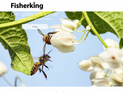 fisherking.se snapshot