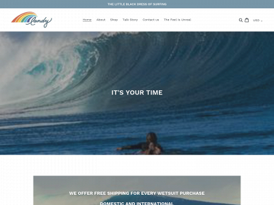 landywetsuits.com snapshot