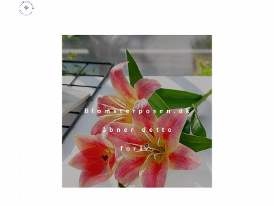 blomsterposen.dk snapshot
