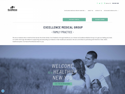 excellencemedicalgroup.com snapshot