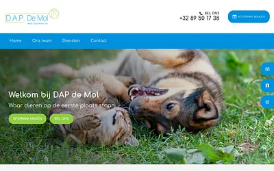 dapdemol.be snapshot