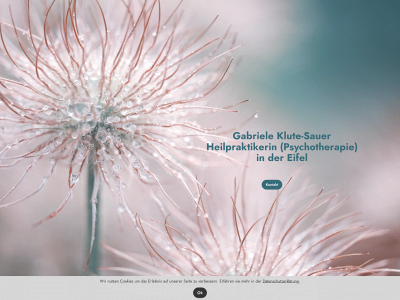 praxisklute-sauer.de snapshot