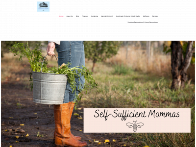 self-sufficientmommas.com snapshot