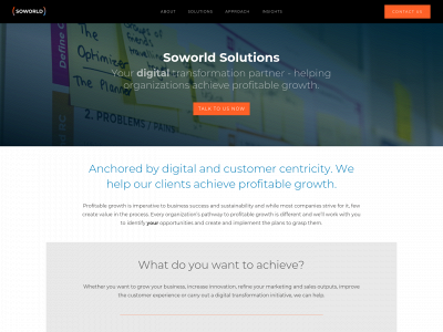soworldsolutions.com snapshot