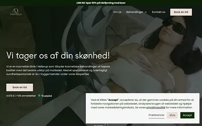 avenique.dk snapshot