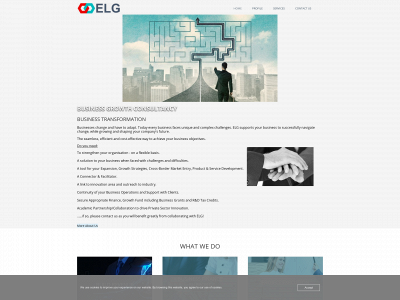 elgconsultancy.com snapshot