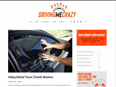 drivingmecrazyblog.com snapshot