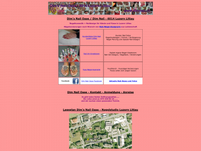 dimnail.ch snapshot