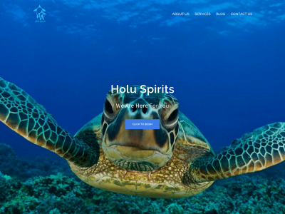 holuspirits.org snapshot