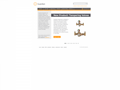 gesafety.com snapshot