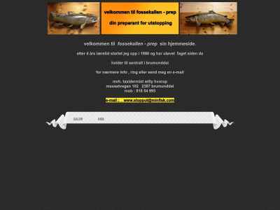 minfisk.com snapshot
