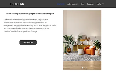 sinnrein.de snapshot
