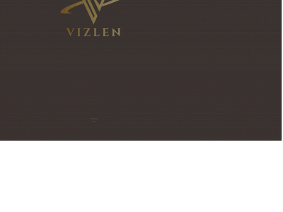 vizlen.com snapshot
