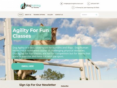 dogtrainingforhumans.com snapshot