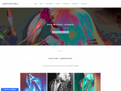 saraibartwork.weebly.com snapshot