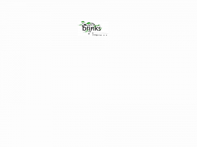 brinks.se snapshot