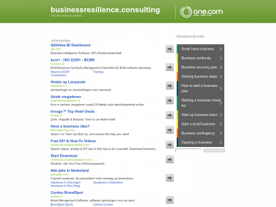 businessresilience.consulting snapshot