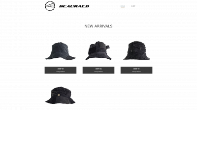 beauraed.nl snapshot