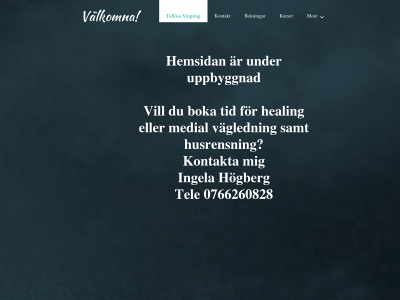 tidlosavingslag.se snapshot