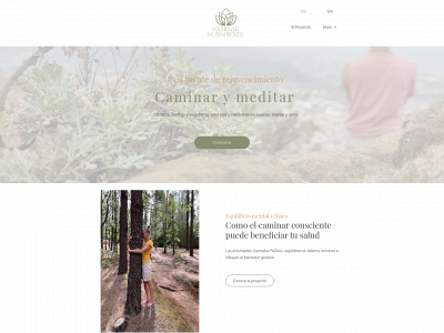 caminarconsciente.com snapshot