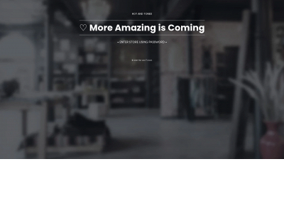hotandtoned.com snapshot