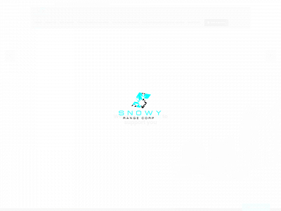 gysinins.com snapshot