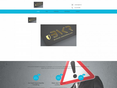 bvkr.nl snapshot