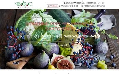 bgc.lt snapshot