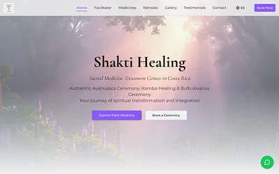shaktihealing.org snapshot
