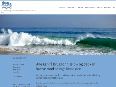 familieterapisydfyn.dk snapshot