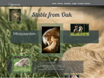 stablefromoak-minipaarden.nl snapshot