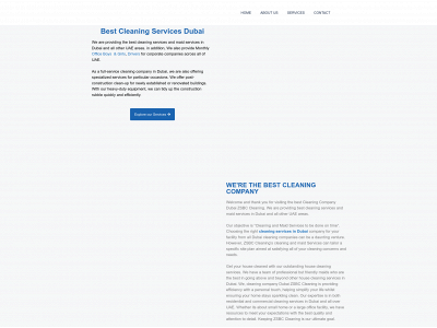 zsbc-services.com snapshot