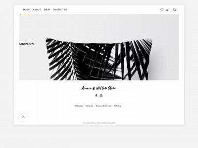 acaciaandwillow.store snapshot