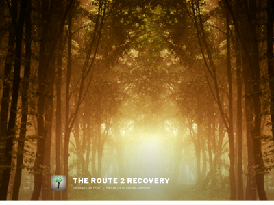 theroute2recovery.com snapshot