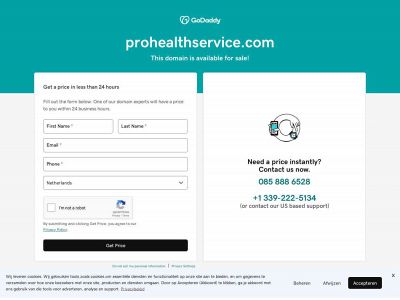 prohealthservice.com snapshot