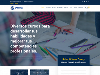 caeiides.com snapshot