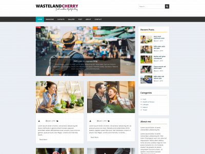 wastelandcherry.com snapshot