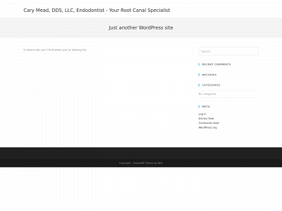 rcarymeadendodontist.com snapshot