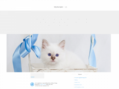 condottis.net snapshot