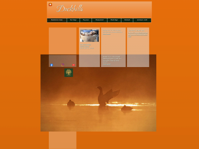 kooikerkennel.com snapshot