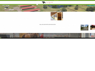 sweetdixiesouth.com snapshot
