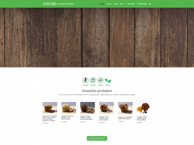 ancor.dk snapshot