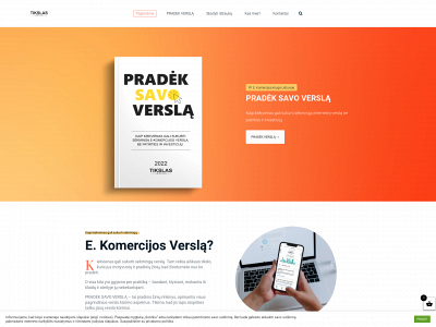 tikslas-verslas.lt snapshot