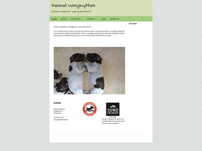 kennelvanghytten.dk snapshot