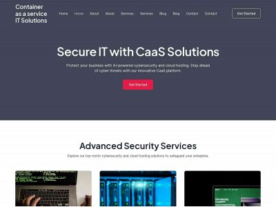 caas-itsolutions.com snapshot