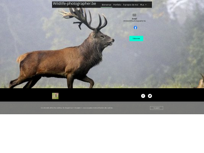 wildlife-photographer.be snapshot