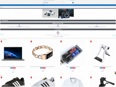 chandiapk.com snapshot