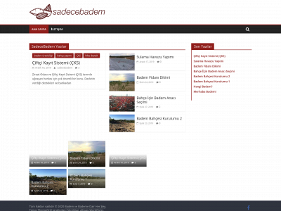 sadecebadem.com snapshot