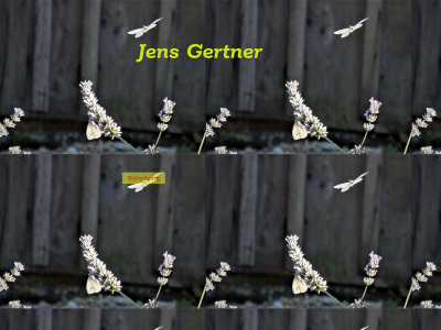 jensgertner.dk snapshot