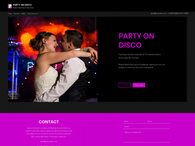 partyondisco.com snapshot